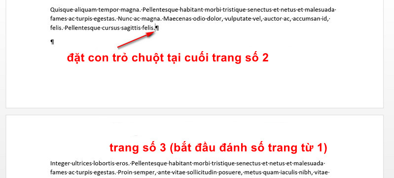 đánh số trang từ trang 3 trong word
