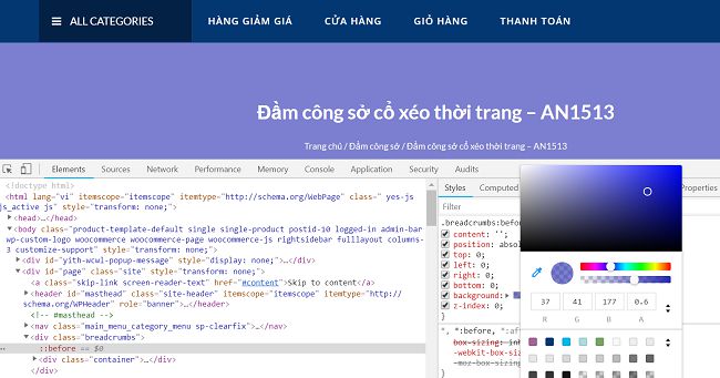bổ sung css vào website