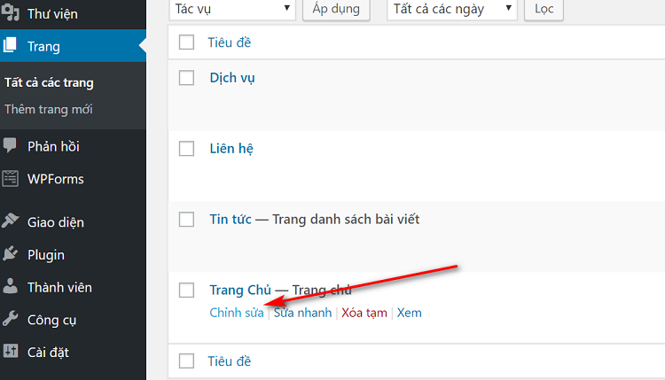 hiển thị tùy chỉnh cho trang chủ website