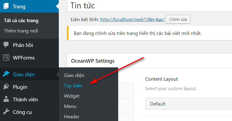 tùy biến hiển thị tin tức cho bài viết