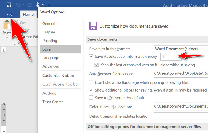 format luận văn file option