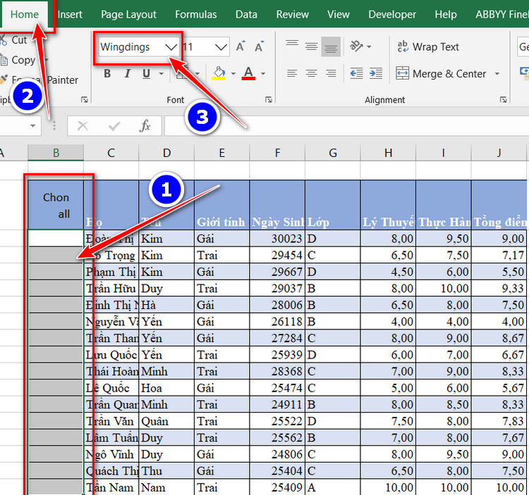 wingdings cho checkbox