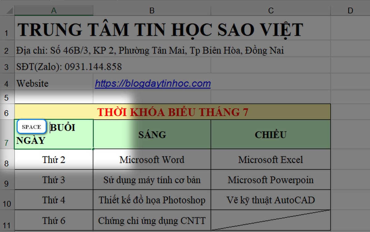 Căn chỉnh nội dung trong ô Excel có dấu gạch chéo.