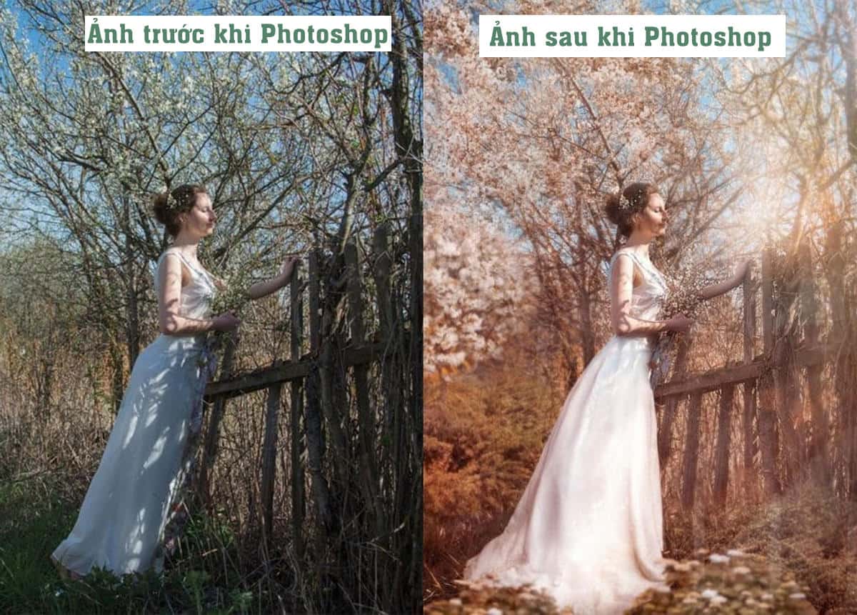 sửa ảnh
