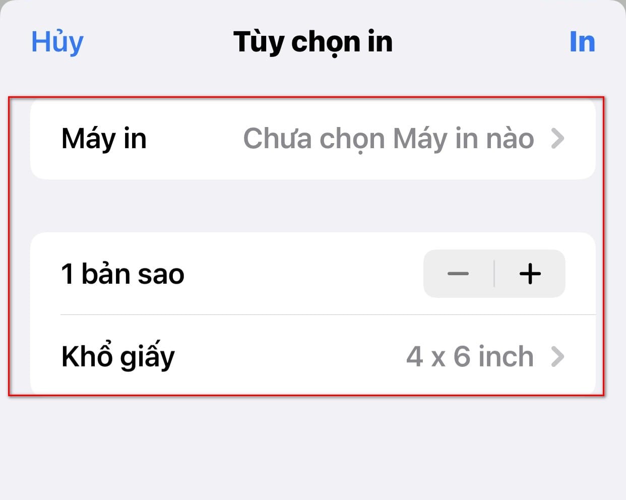hình ảnh thiết lập mục in