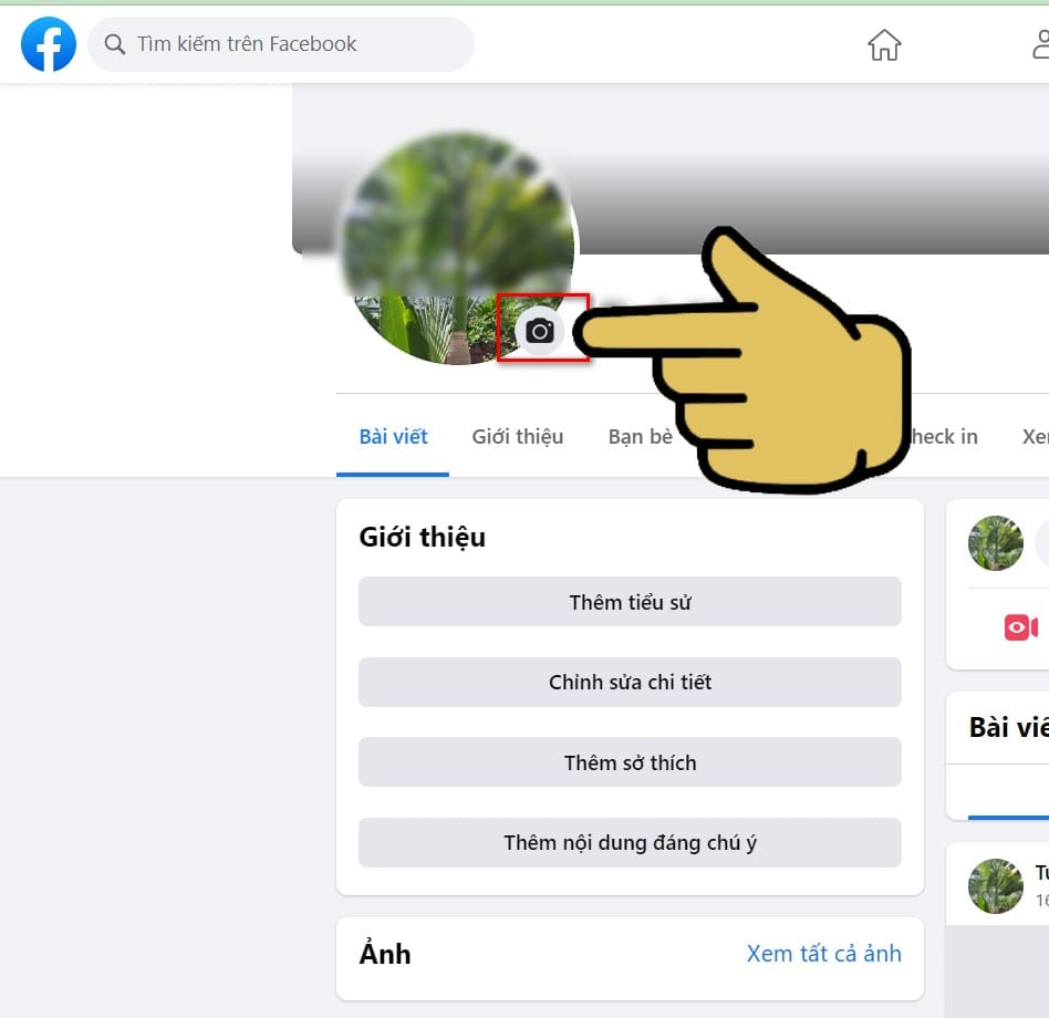 hình ảnh tích chọn vào máy ảnh