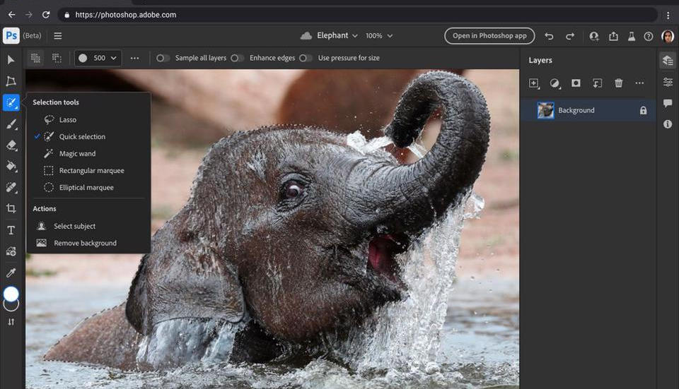 photoshop ảnh vật