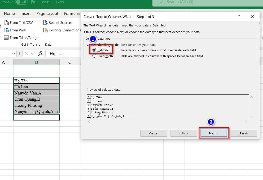 hình ảnh hộp thoại convert text to column