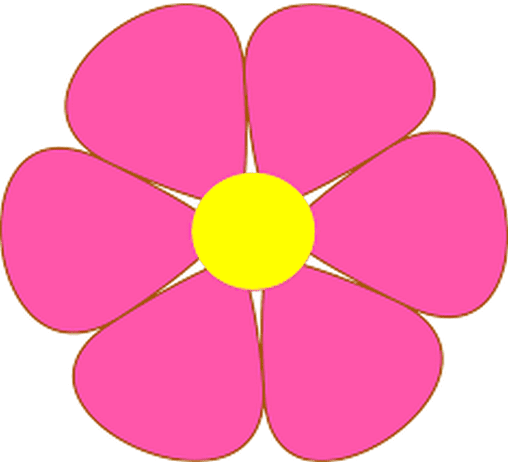hình cánh hoa