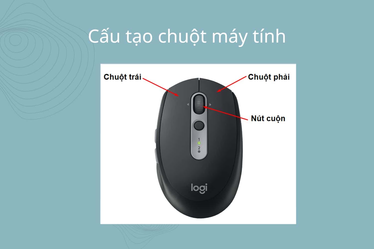 chuột máy tính