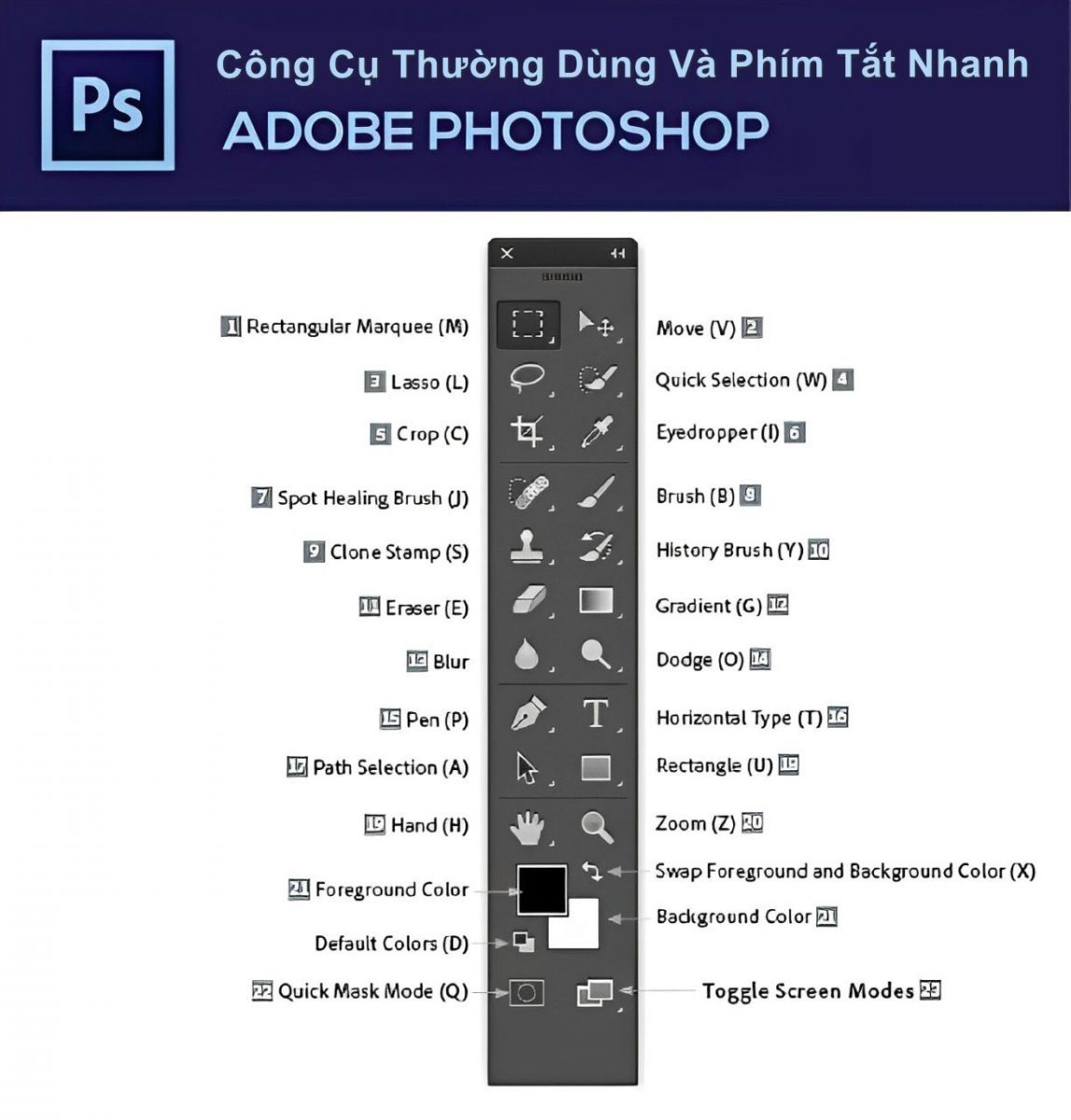 thanh công cụ trong photoshop