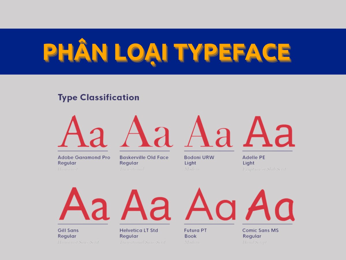 Phân loại typeface trong illustrator