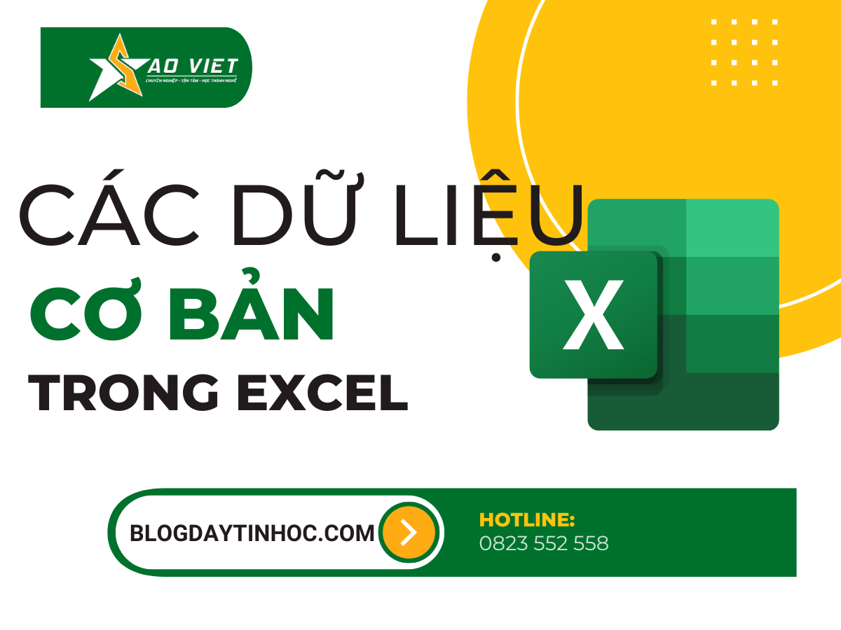 Kieu-du-lieu-co-ban-trong-excel