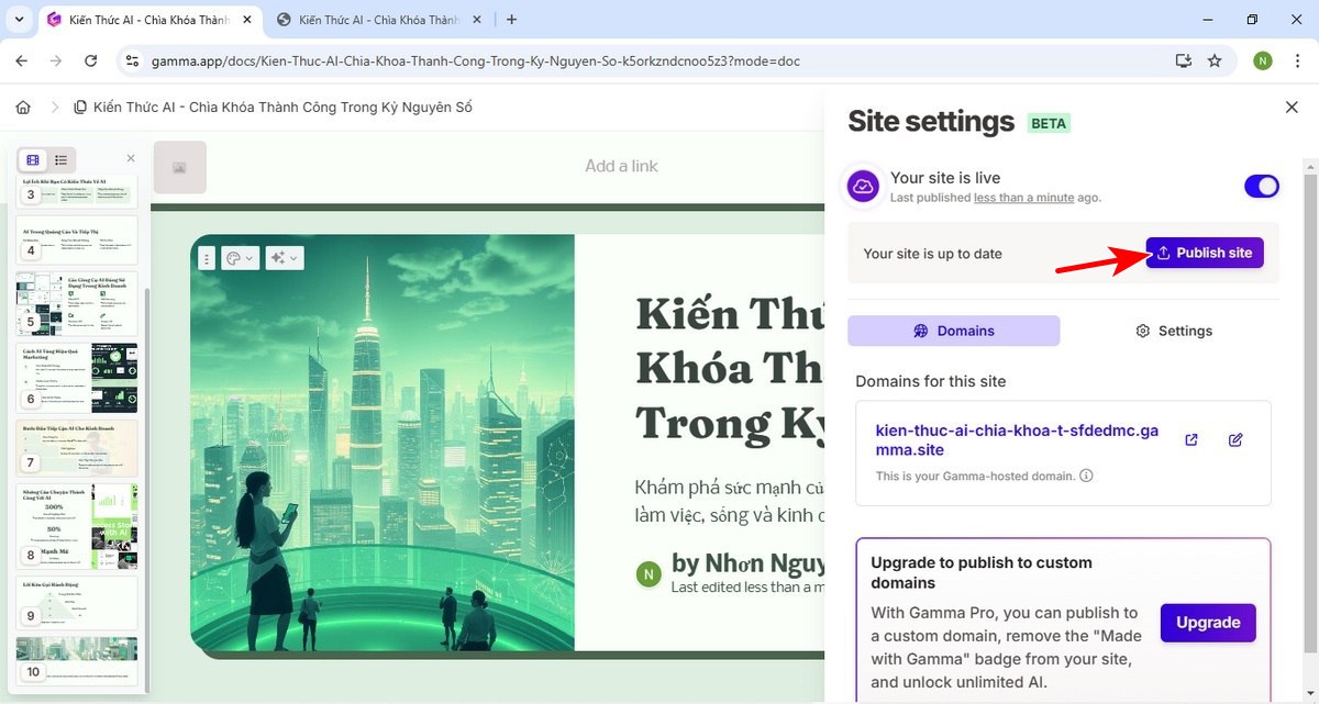 publish lên website